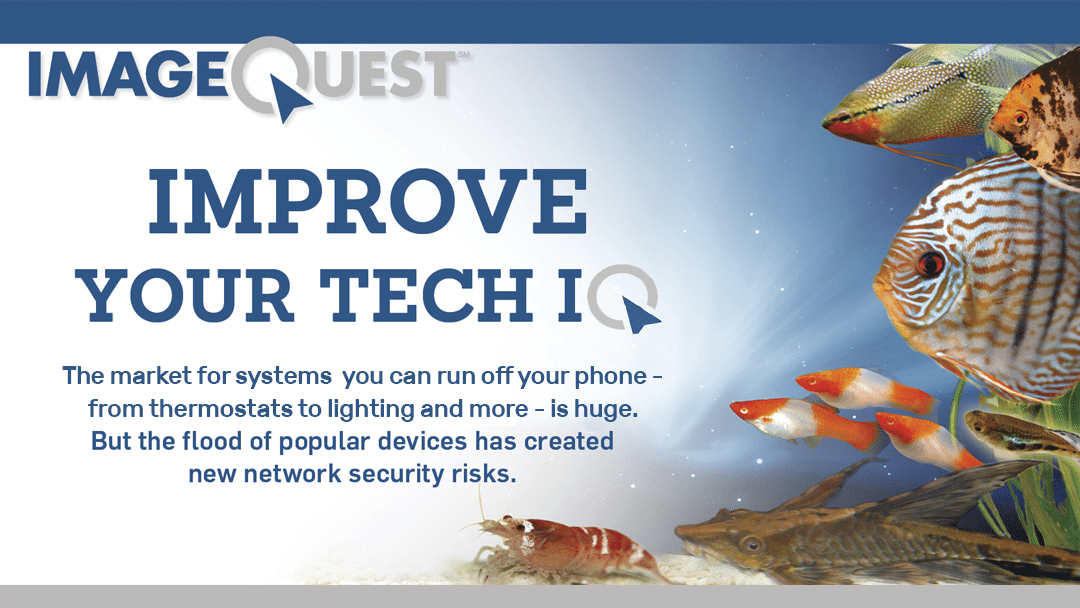 IoT, ImageQuest, network security, IT Compliance, cybersecurity, Louisville IT, managed IT services Nashville
