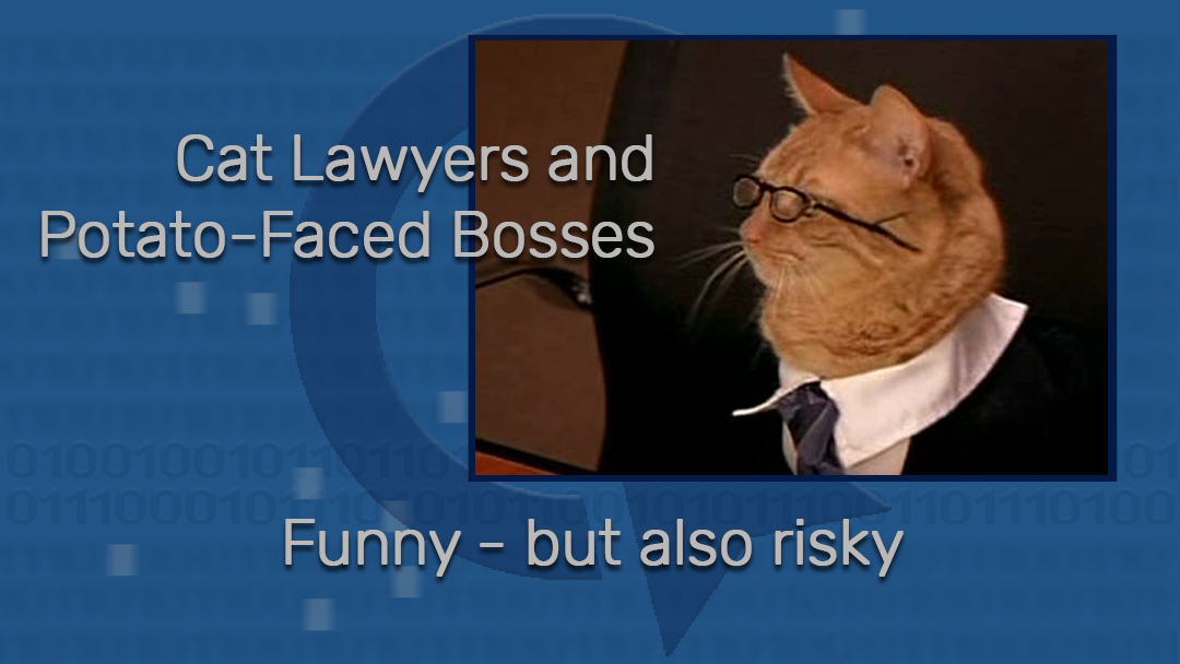 Cat lawyers - funny but risky ImageQuest