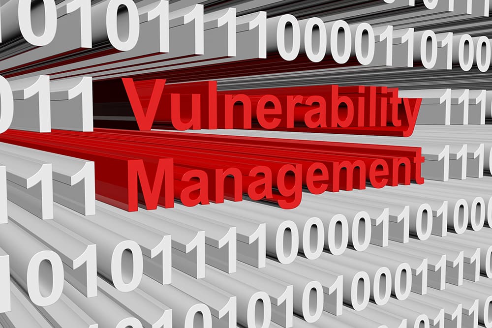 The words ‘vulnerability management’ are in red amid a sea of white binary code.